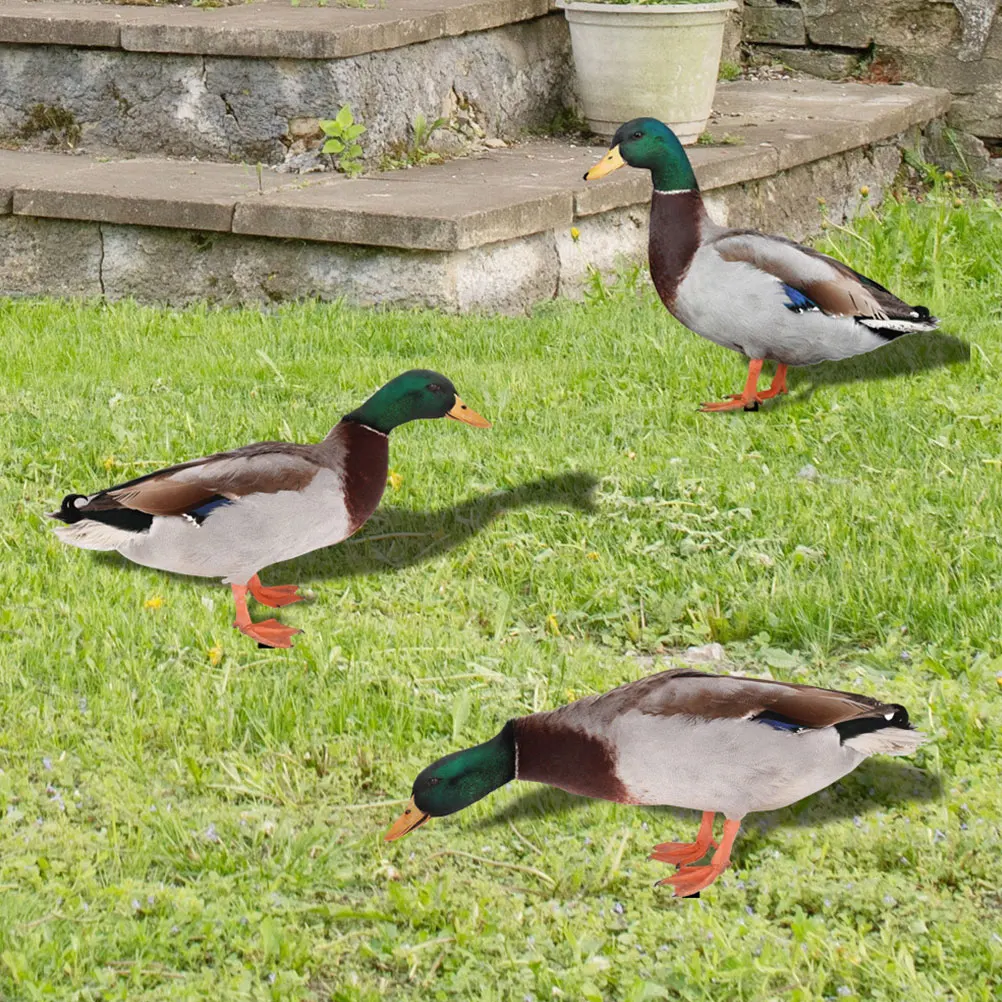 

3 Pcs Garden Decoration Inserts Outdoor Lawn Ornament Yard Sign Garden Stake Acrylic Durable Yard Decoration Reliable