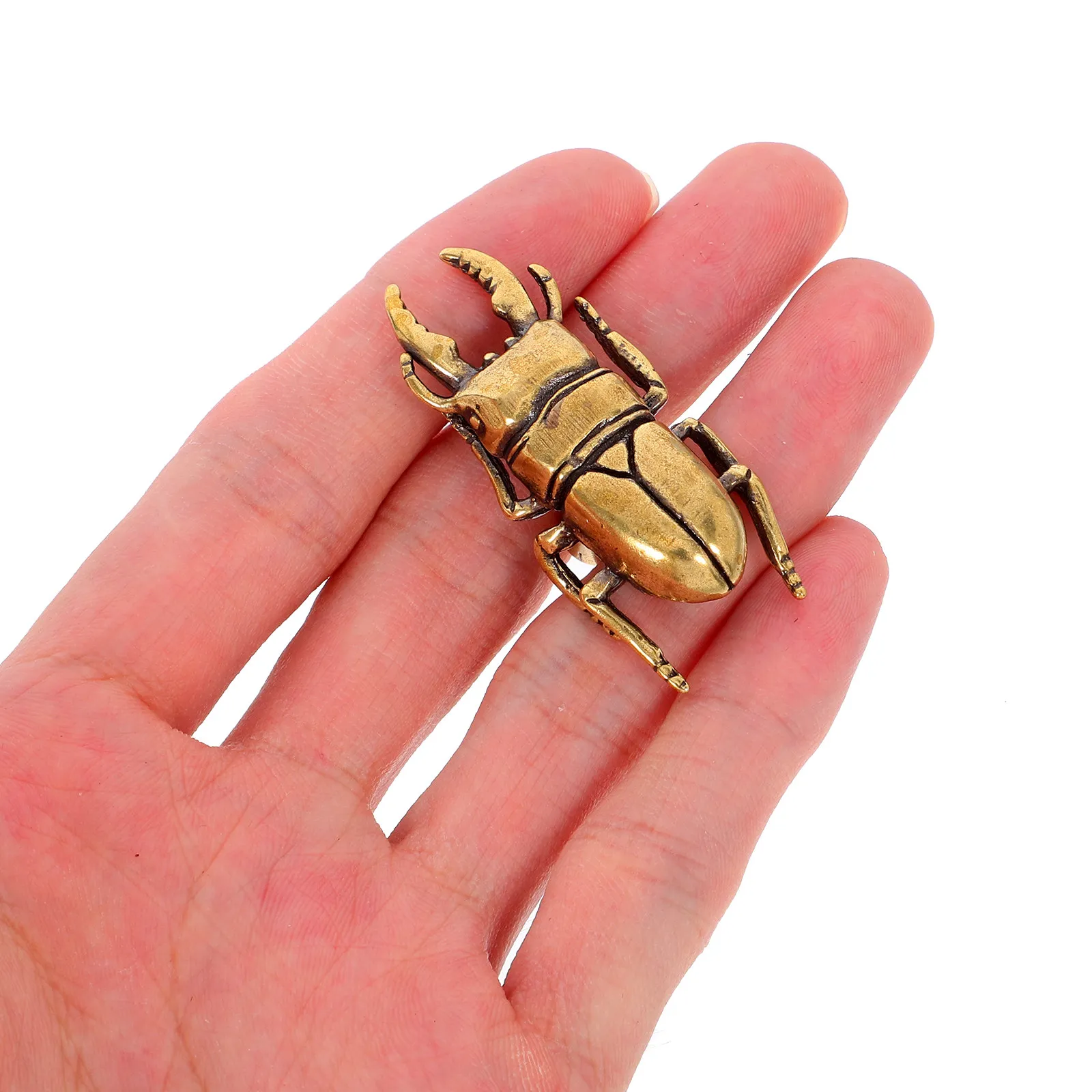 Brass Beetle Drawer Pull Handles Decorative Cabinet Knobs for Kitchen Dresser Cupboards Closet Furniture Hardware