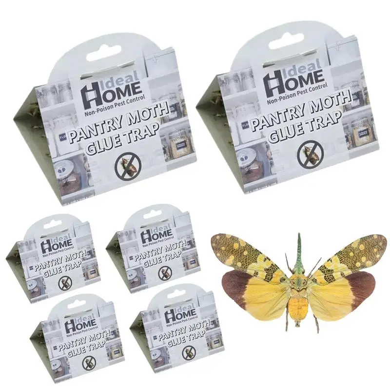6pcs Moth Trap Moths Pheromone Killer Clothes Pantry Food Sticky Glue Fly Catcher Trap Home Pests Reject Control Insect Mail Box