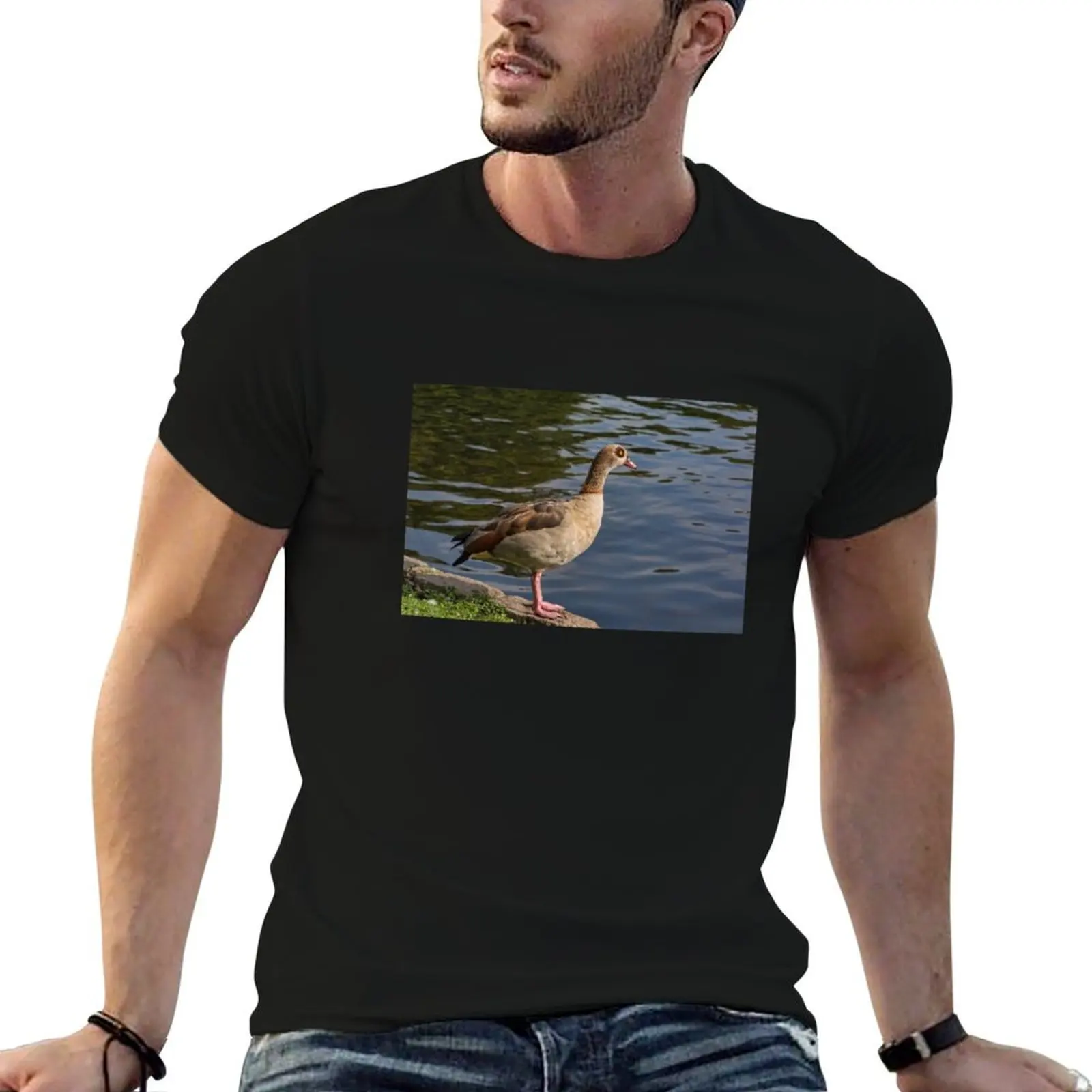 Egyptian Goose in St James Park, London, UK T-Shirt football t shirt vintage t shirts designer t shirt men