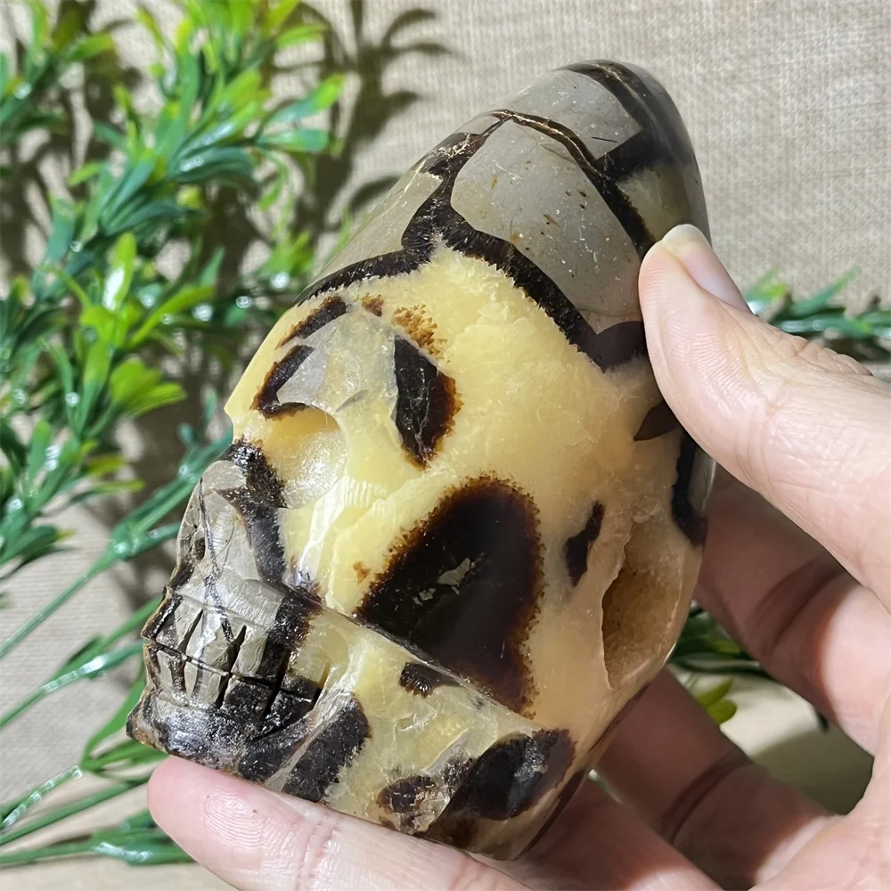 

Crystal Natural Septarium Skull Carving Stone Quartz Energy Mineral Wicca Home Decoratio Healing Feng Shui Witchcraft Gemstone