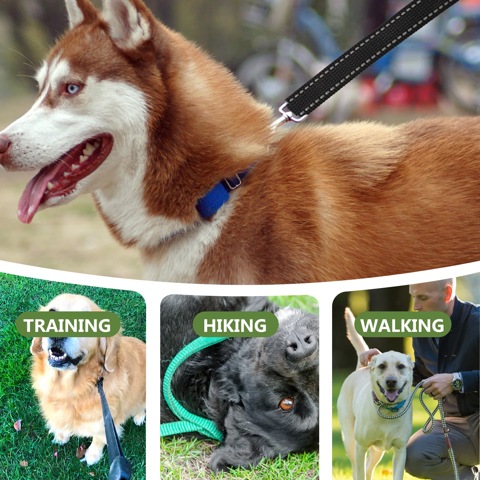 

Dog Training Rope 5M Black Long Leash Durable Stainless Steel Hook Multipurpose Walking Accessories Pets Traction Puppy Leash