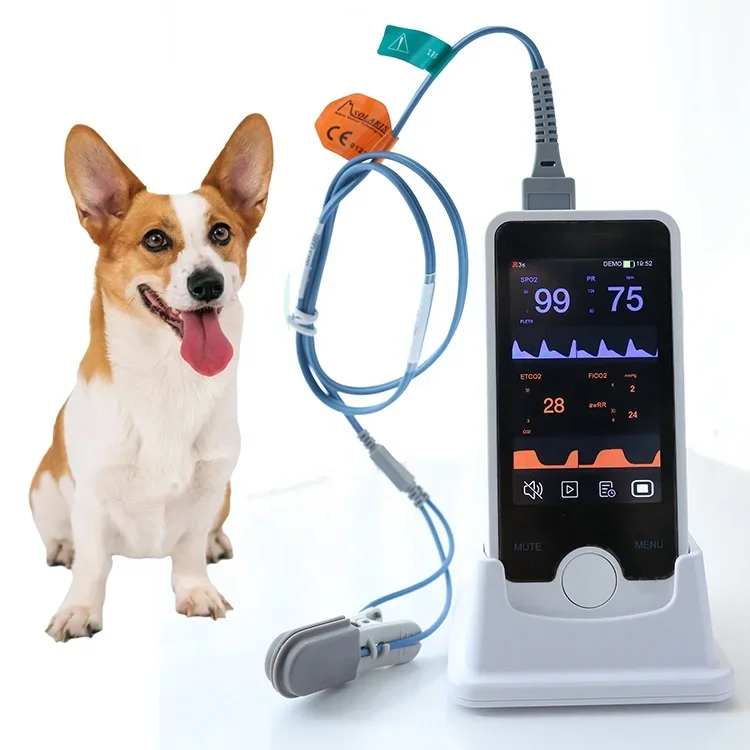 

Touch Screen Veterinary Monitor Spo2 Oximeter Handheld Mini Portable Pulse Oximeter Vet