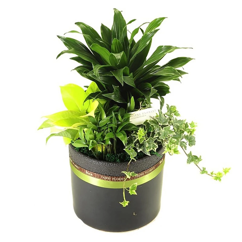 Набор для самостоятельного полива, 4-полосная автоматическая система для самостоятельного орошения