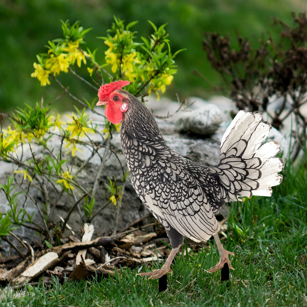 

2Pcs Acrylic Garden Decoration Yard Lawn Stake Realistic Chicken Art Ornament Lightweight Compact Size Outdoor Use