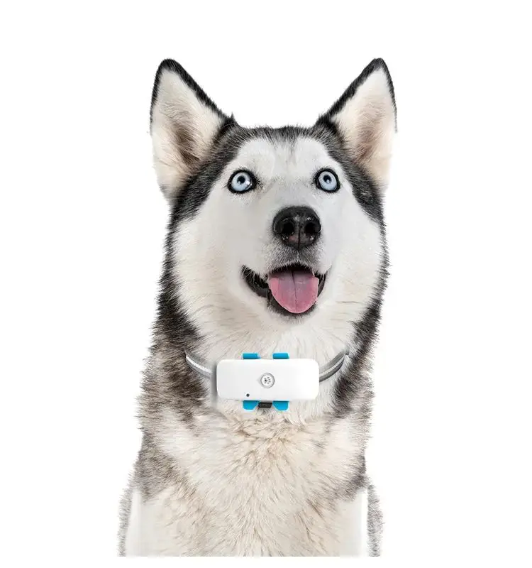Waterproof Locator Mini 4G GPS Tracker Bluetooths Wireless Cat Collars Dog Tracker Smart Animal Finder Pet Tracker Dog Products