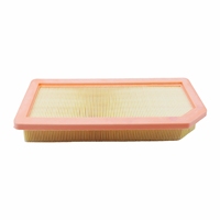 Air Filter For BYD Qin L Seal 6 06 5 05 7 07 DM-i 2024 2025 Haibao1.5L 1.5T Hybrid Song PLUS Xia DENZA D9 Engine Accessories