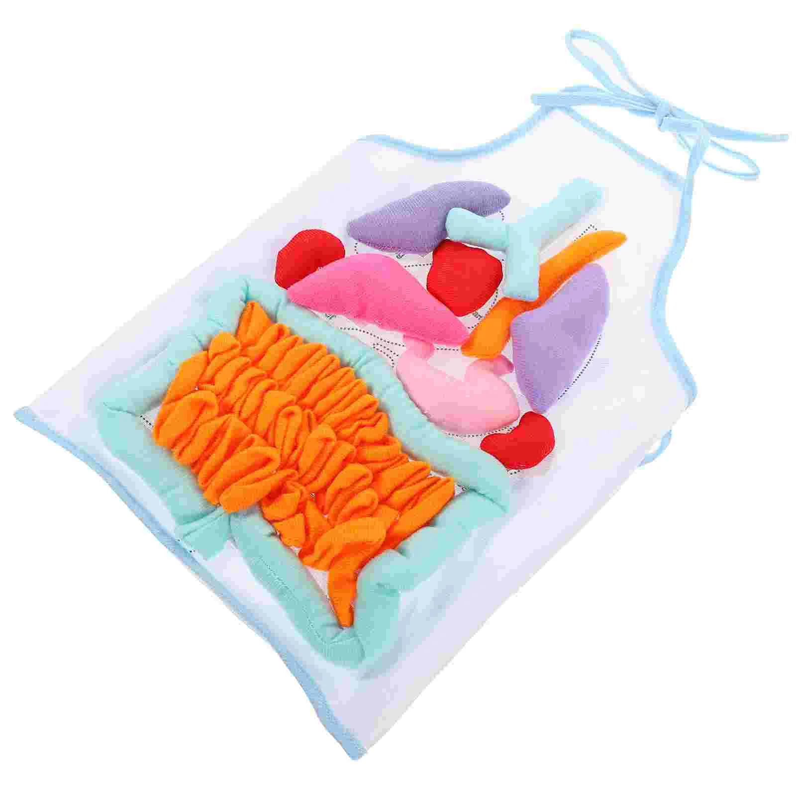 Childhood Teaching Aids Human Organs Apron Children Learning Educational Body Model