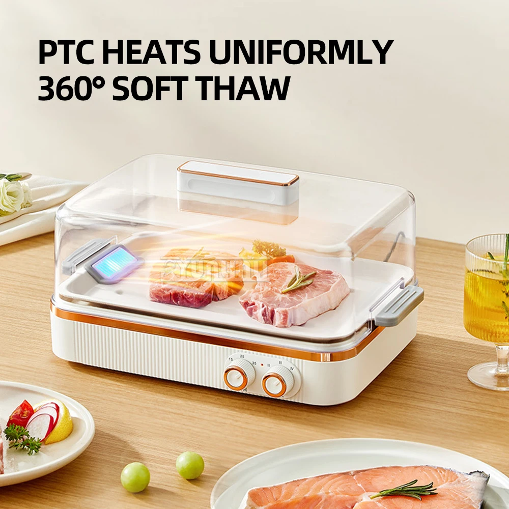 Kitchen Quick Thaw Machine Household Ice Melting Artifact Quick Thaw Machine for Meat Steak