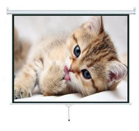 Projector Screen Pull Down Manual 84*84\