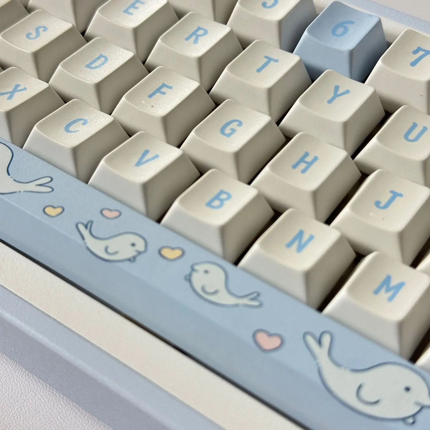 Sea World Original High Sublimation Process PBT Material Keycap Adapted to Cross Satellite Axis Mechanical Keyboard