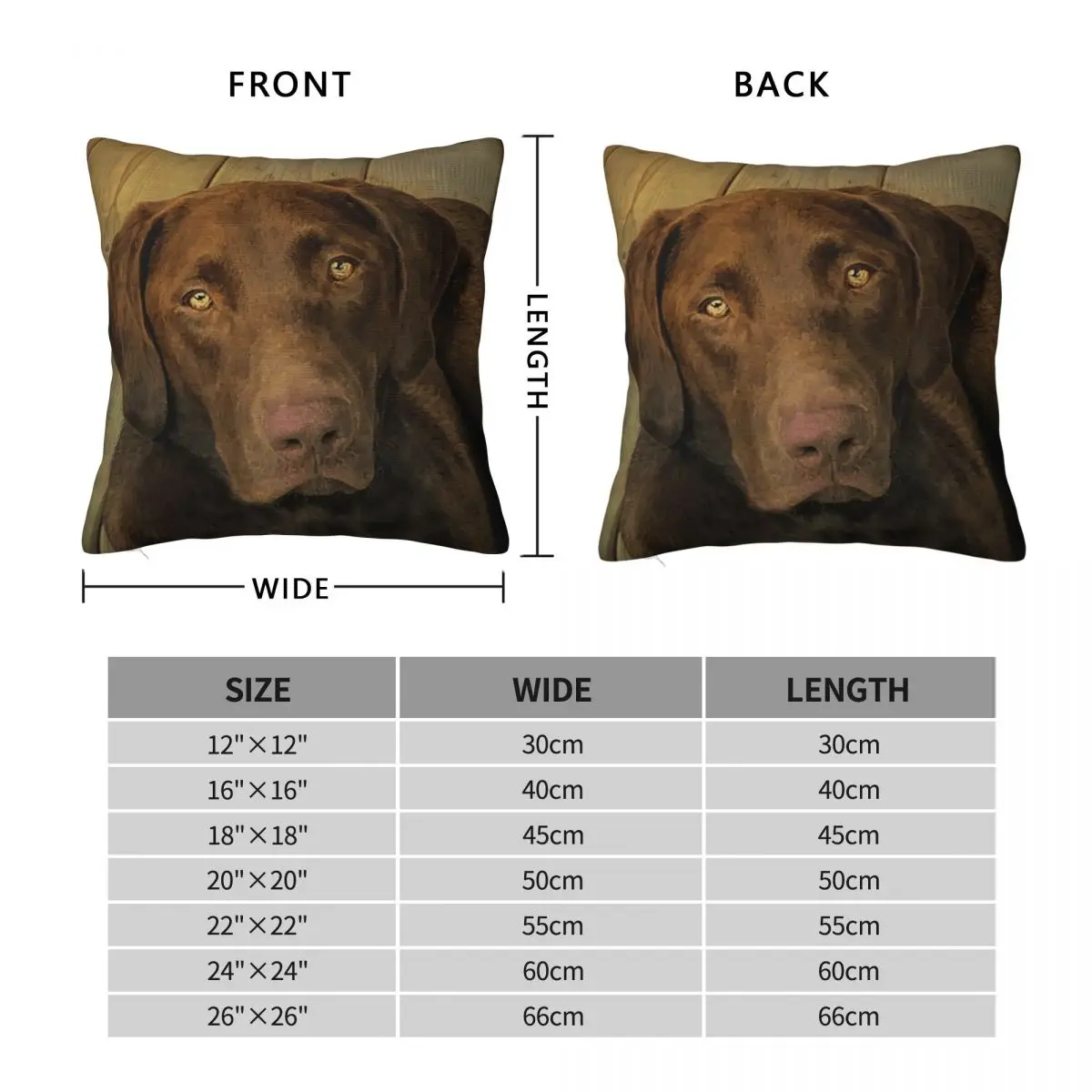 Chocolate Labrador Retriever Square Pillowcase Polyester Linen Velvet Printed Zip Decor Throw Pillow Case Bed Cushion Cover