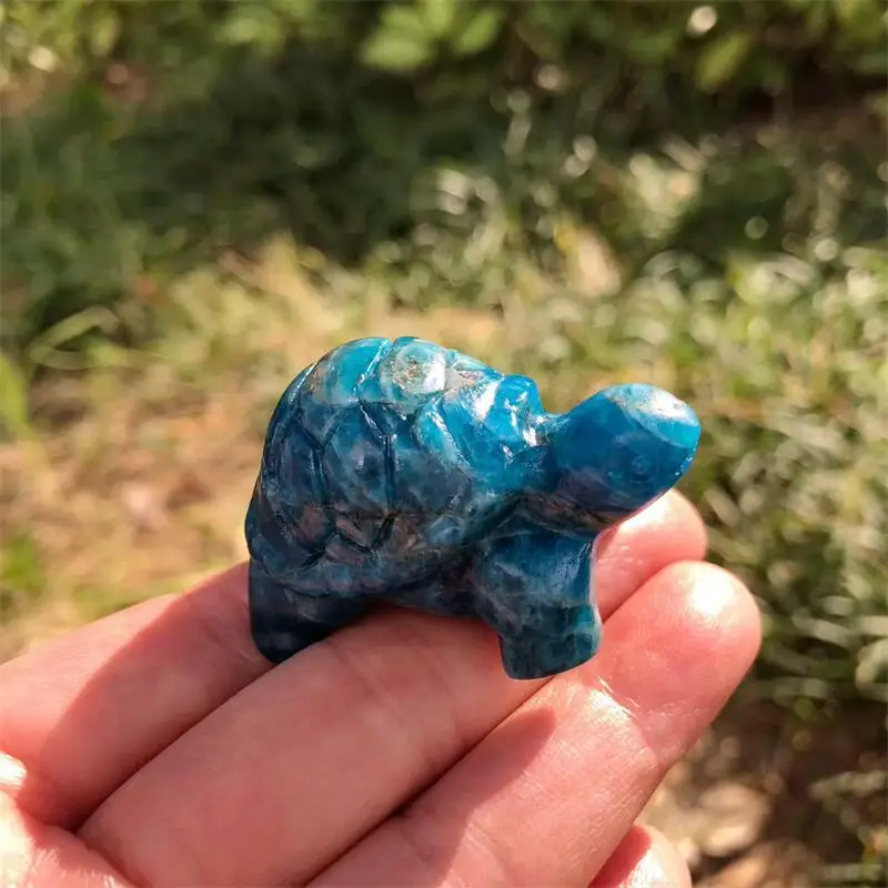 Natural Blue Apatite Tortoise Carving Mineral Sculpted Reiki Healing Gemstone Crafts For Art Collection Gift 1pcs