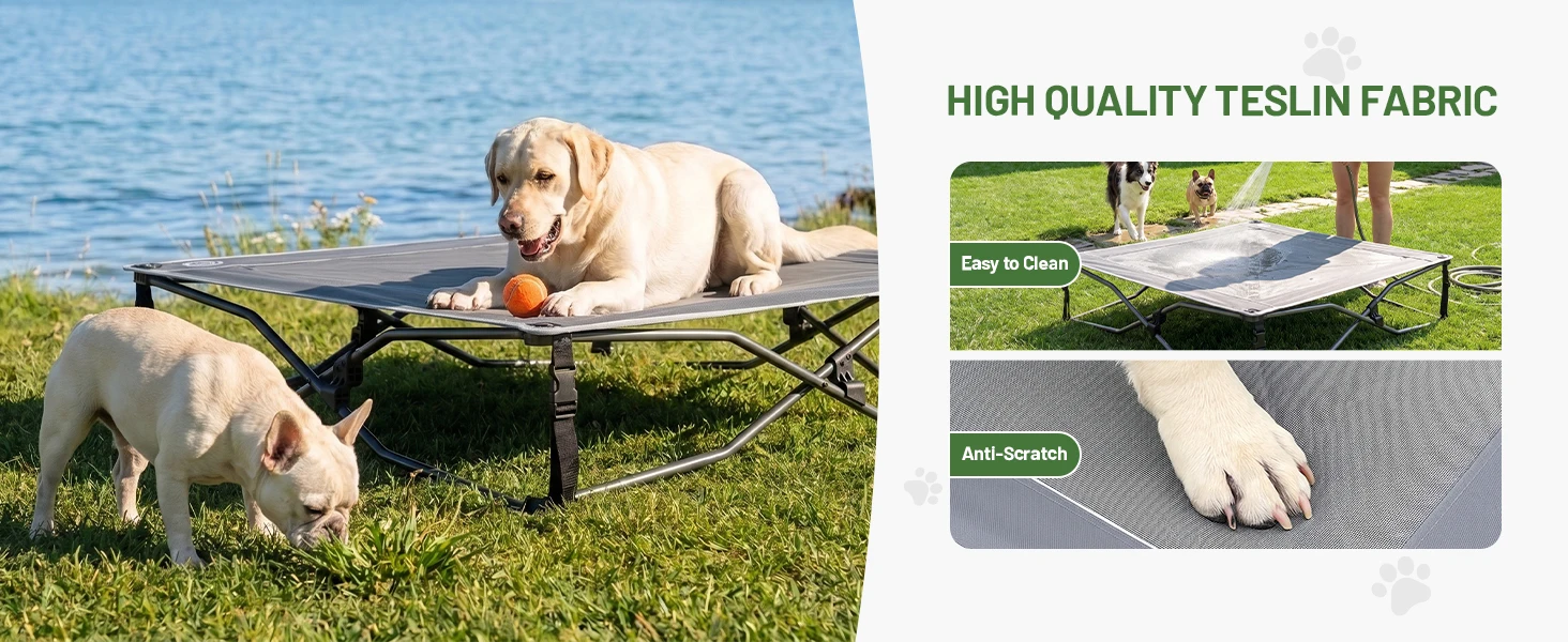 dog bed