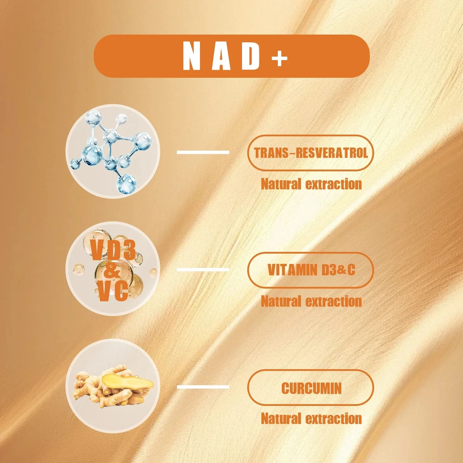 أفضل المصانع NAD + تعزيز - الطاقة الخلوية والإصلاح، الشيخوخة الصحية مع NR + ريسفيراترول الكركم + Quercetin