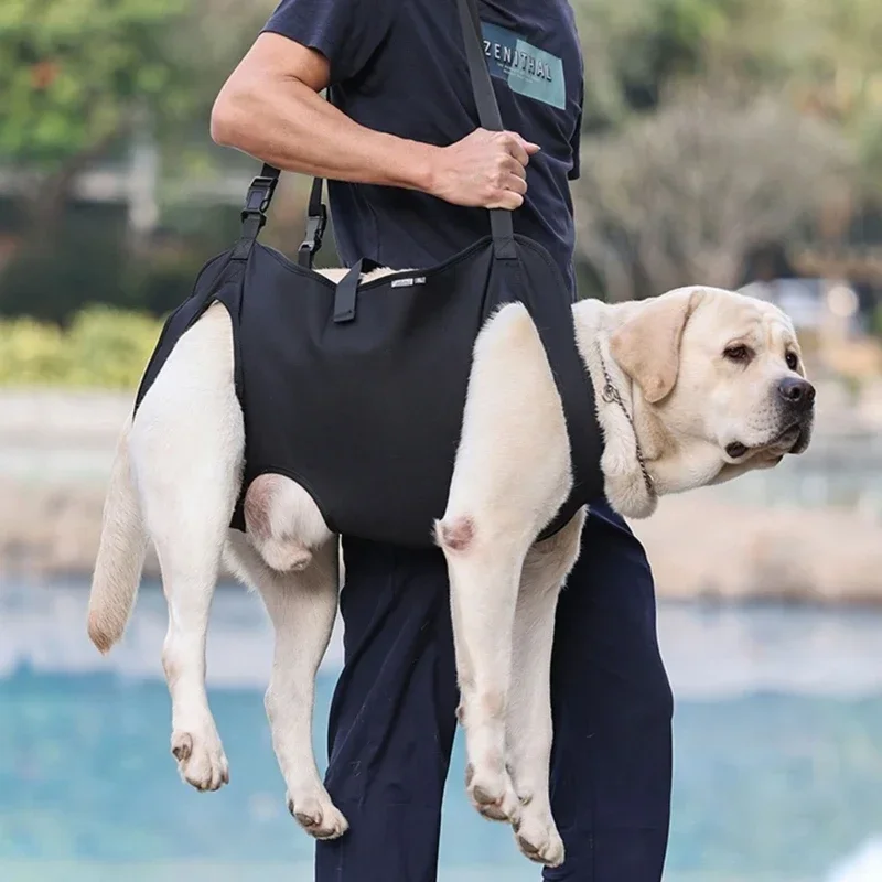 Dog Lift Harness For Large Dogs 3