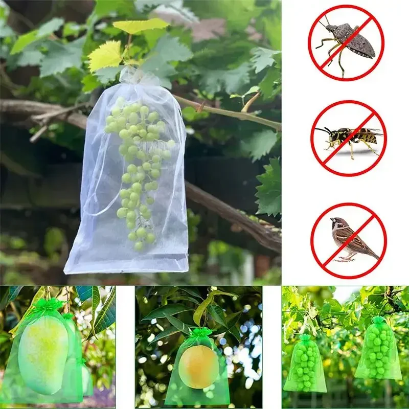 Sacs en filet réutilisables pour jardinage barrière anti-insectes avec cordon vert housse pour plantes protection des fruits arbres légumes raisins fraises résistants pratiques écologiques durables faciles à utiliser a