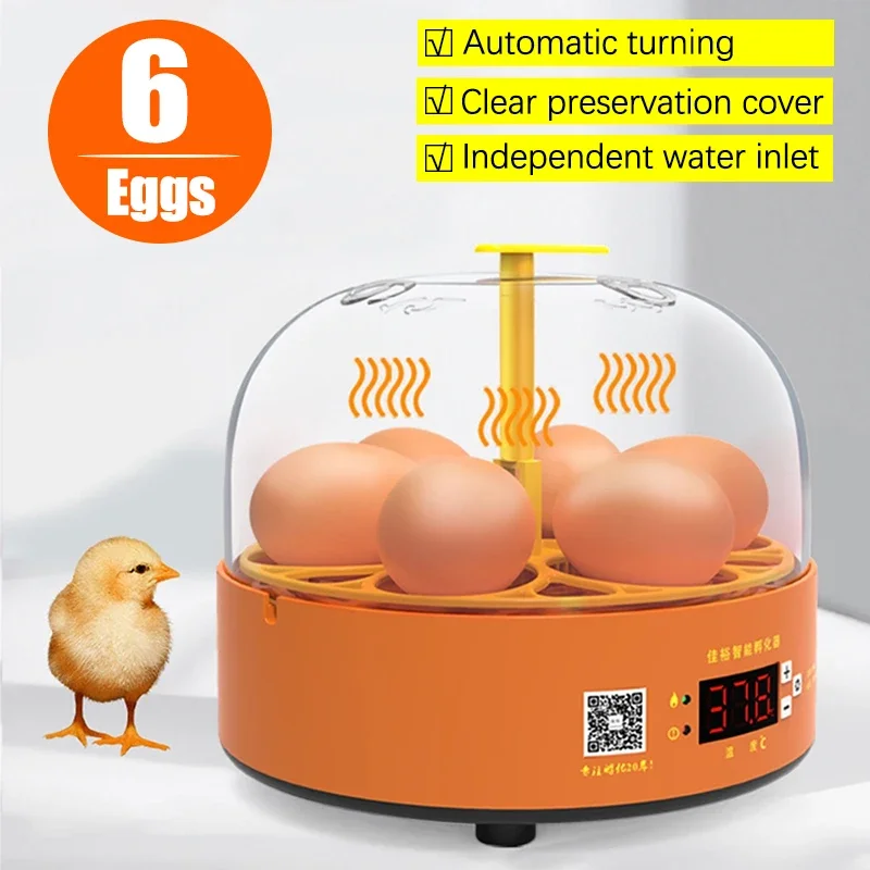 

6 Mini Eggs Incubator Automatic Turning Hatching Brooder Farm Bird Quail Duck Chicken Poultry Farm Hatcher Turner 220V/110V