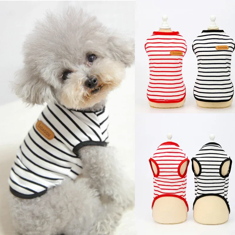 Adorable, stylish, and cute striped sleeveless vest for small Chihuahua, Pomeranian, and kitten - a must-have fashion item for y