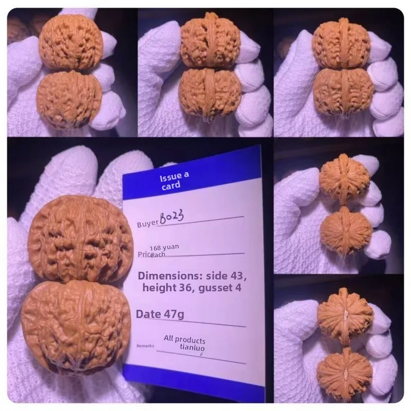 Premium Matched Pair Blunt Tip White Lion Wenwan Walnuts Chinese Collectible Hand Play Piece For Good Luck Fortune Blessing Joy