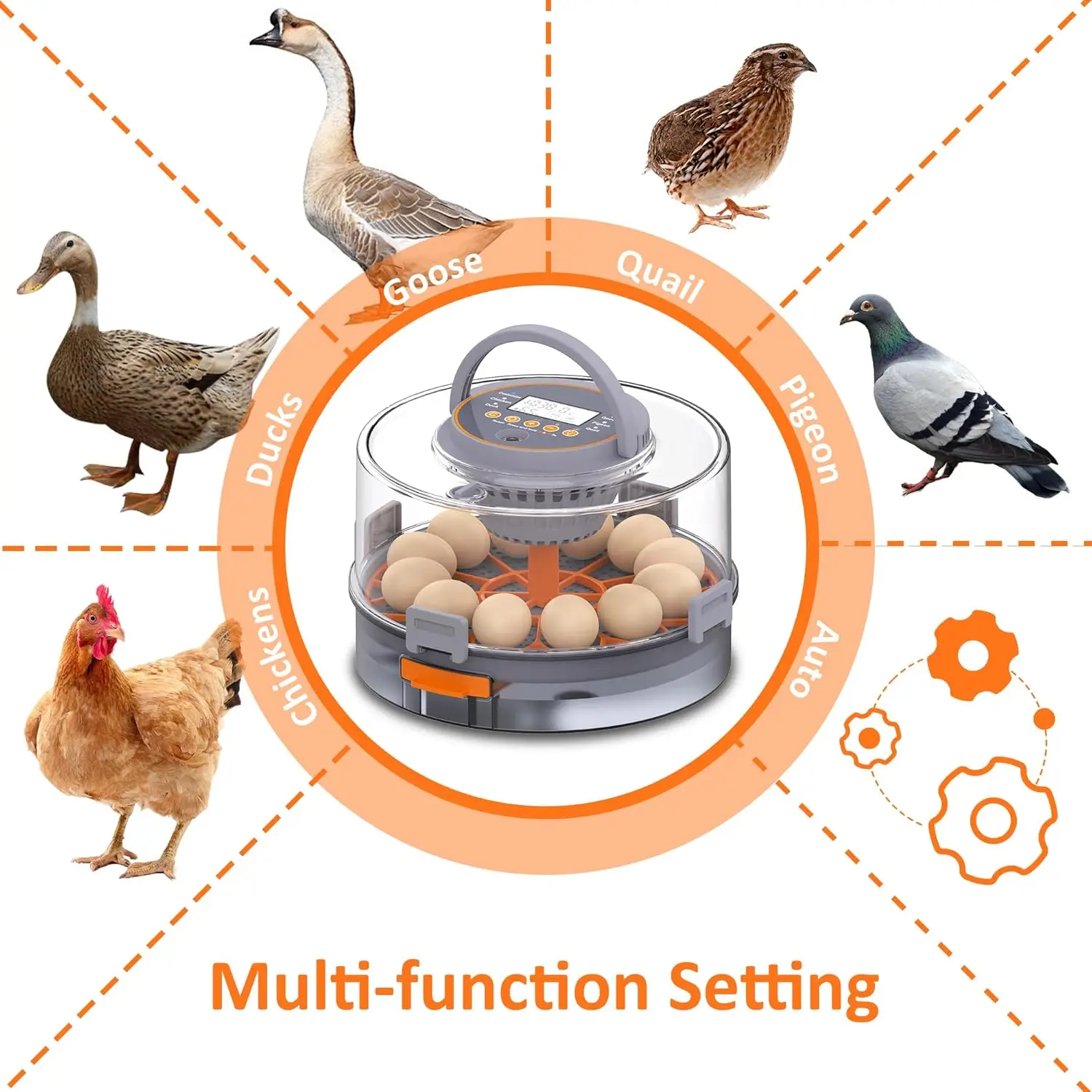 حاضنة أوتوماتيكية للحيوانات الأليفة، حاضنة 12 بيضة، مزودة بضوء البيض، مناسبة للحيوانات الصغيرة والدواجن والطيور وما إلى ذلك