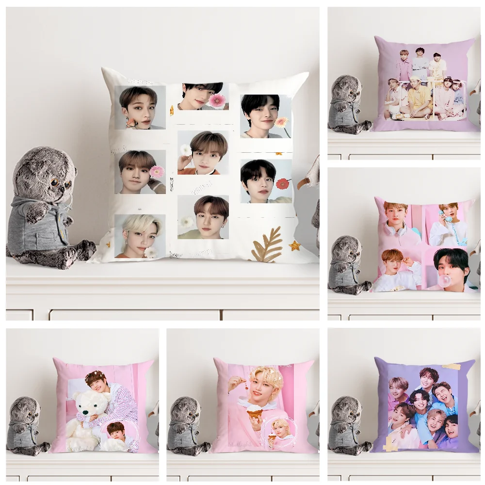 S-Strays Cartoon-K-kids Pillow Case Double Sided Printed Cushion Cover Soft Short Plush Sofa Decorative Home Decoration