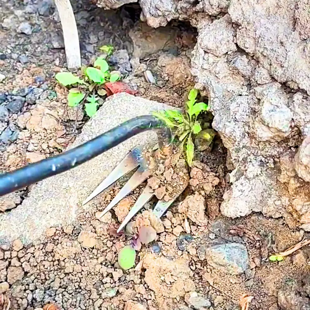 Multifuncional Jardim Weeder, Manganês Aço, Enraizamento Da Relva, Solo Solto, Mão Weeding Remoção, Extrator, Ferramentas De Jardinagem