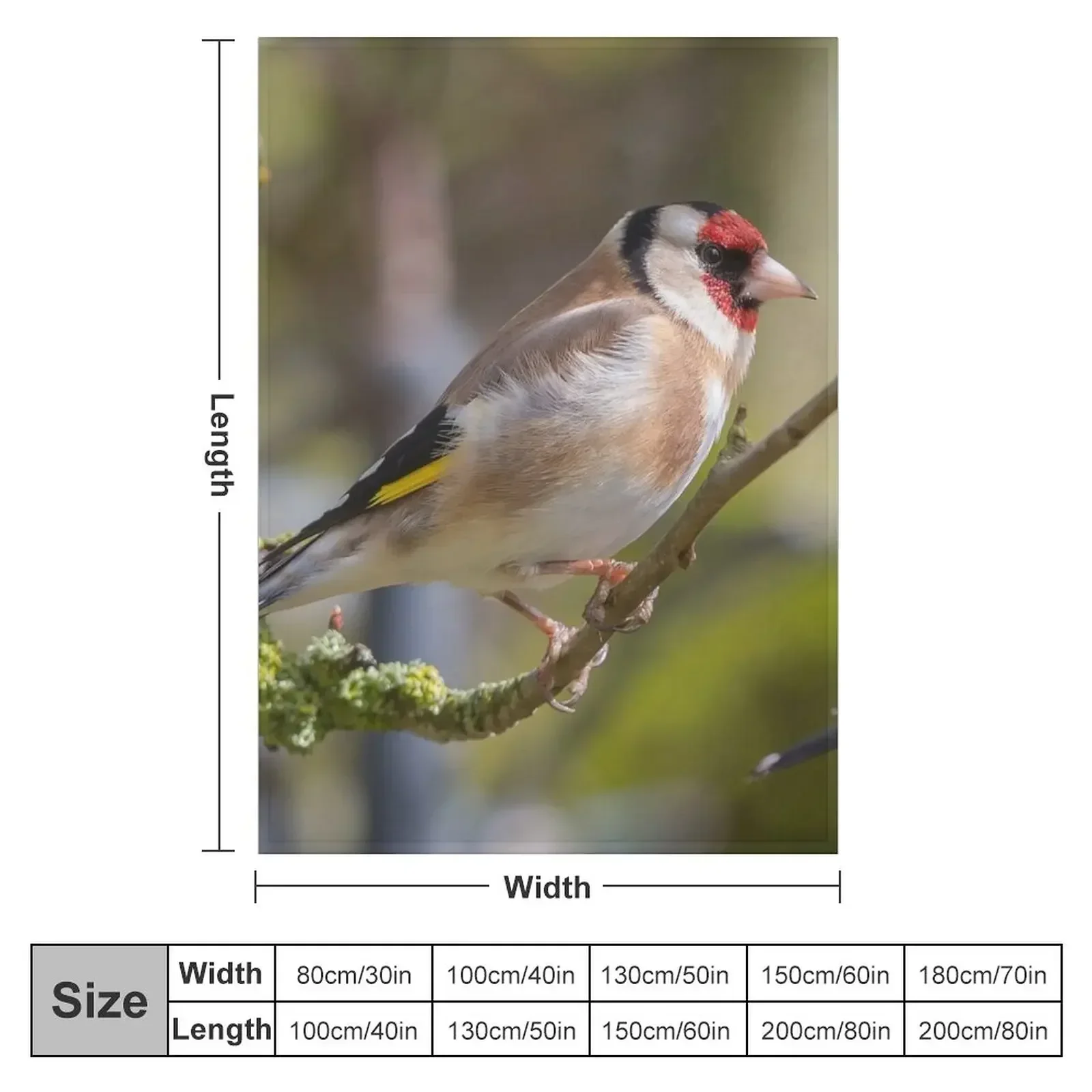 Goldfinch Throw Blanket funny gift Giant Sofa Blankets