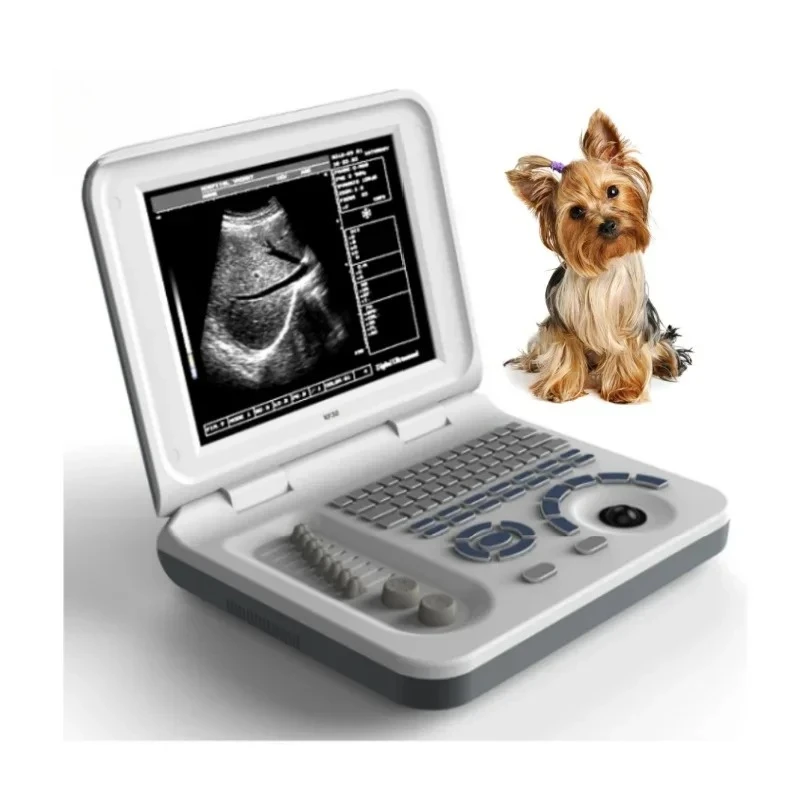 

Full Digital Diagnostic System Portable B/W Vet veterinary ultrasound machine for animals