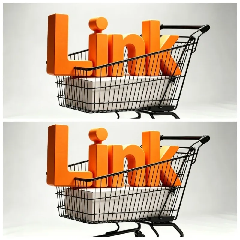 Exclusive Customized Payment Link, Transportation Payment, Goods Payment