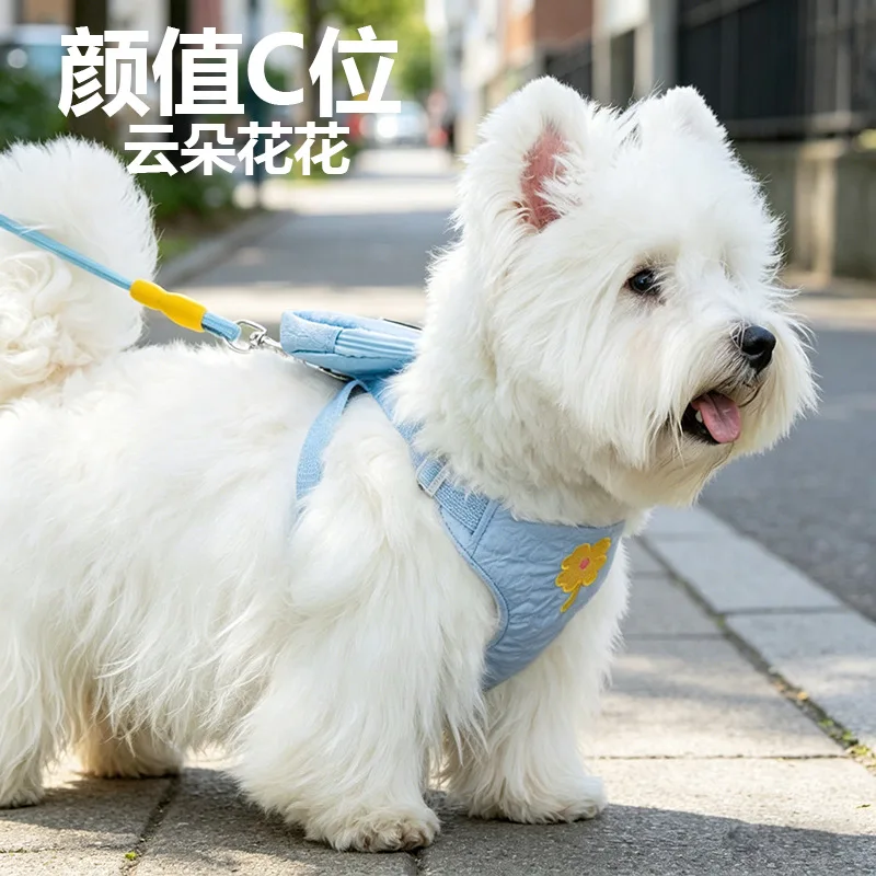 Arnés de pecho con correa para pasear perros pequeños y medianos - imagen 4
