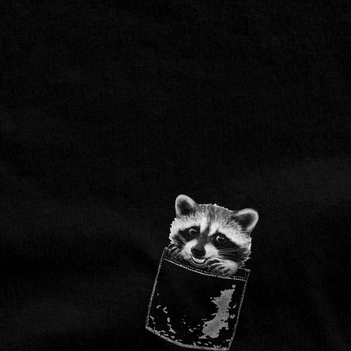 Vintage Pedro Raccoon T-Shirt Unisex Crewneck Short Sleeve Tops Cotton Clothes