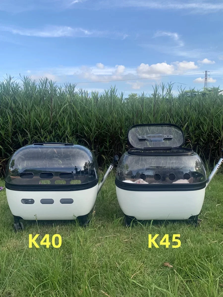 Haustier Trolley Katze Tasche Tragbare Katze Tasche Für Ausgehen Doppel Katze Haustier Kinderwagen Transparent Koffer Mit Großen Raum