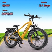 ENGWE E-Bike 250W Brushless Motor 48V16AH Lithium Battery Aluminum Alloy Electric Bike 26 -In Fat Tire Mountain Electric Bicycle