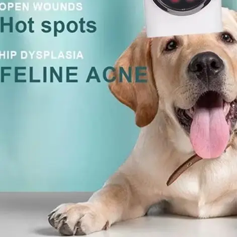 

Устройство для холодной лазерной терапии ветеринарного класса, комбинированный NIR 808 нм и 650 нм для домашних животных, лечение воспалений суставов, травм и способствует восстановлению