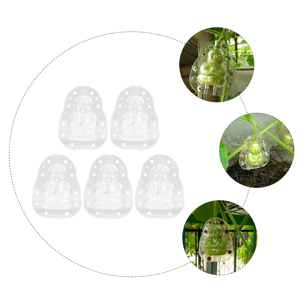 

5pcs Fruit Growing Mold Transparent Reusable Shaping Tool For Diy Vegetable Melon Gardening Small Growth Molds Ginseng Fruit