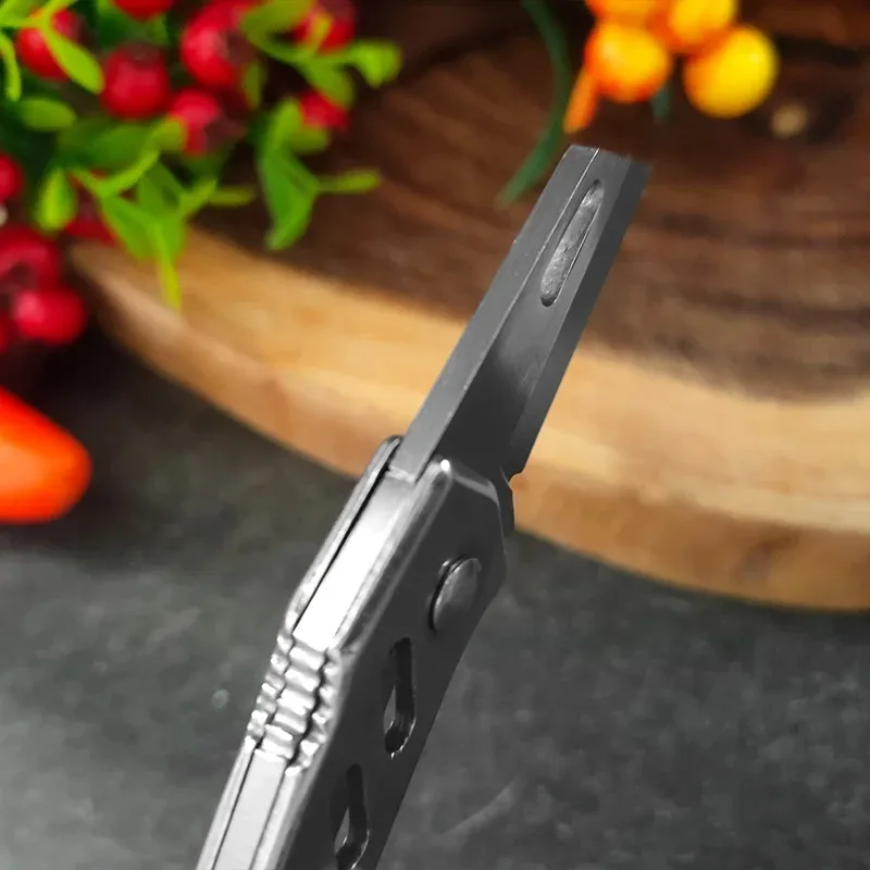 Mini Folding Knife Kitchen Knives Cleaver Meat Fish Fruit Vegetables Knife Chef Slicing Boning Utility BBQ Cooking Knife