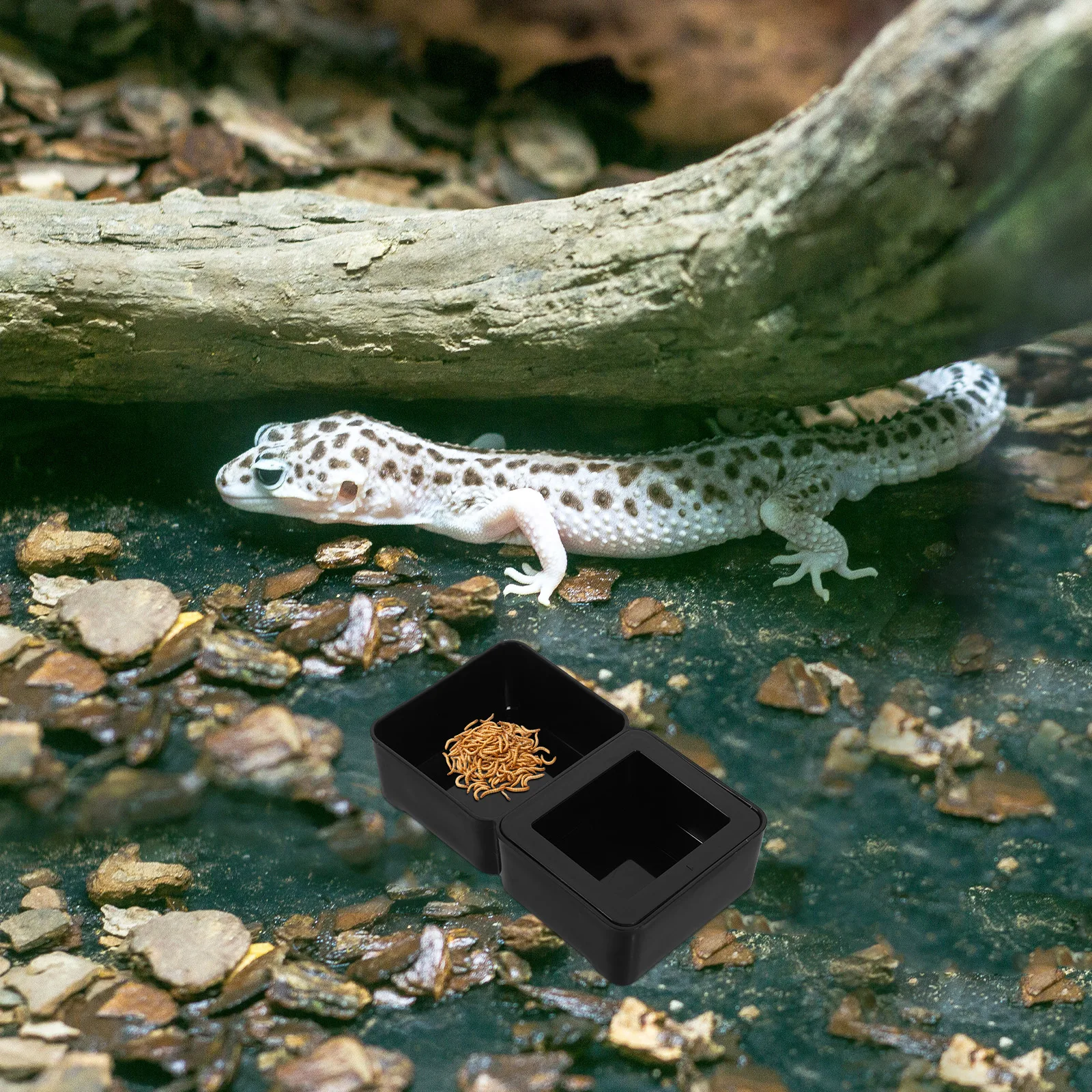

Reptile Feeder Bowl Dual Purpose Lizard Water Dish ABS Durable Easy Clean Space Saving Gecko Food Tank Chameleon Beard