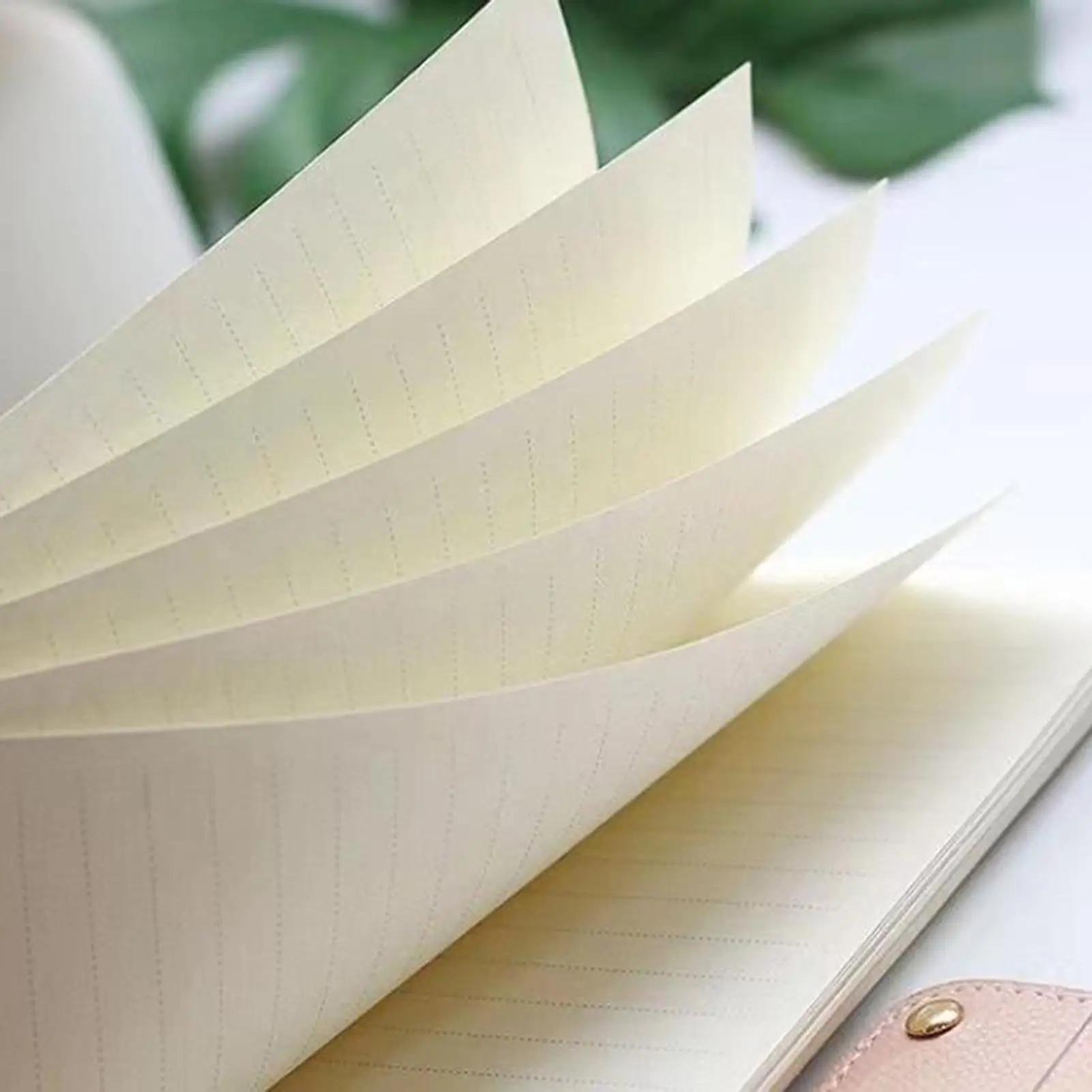 Segregator A6 Przezroczysty Segregator z 6 Ringami Planer Roczny Notatnik do Monitorowania Zdrowia, Ducha, Nawyków, Zadań, Ćwiczeń, Sprzątania Domu, Urodzin, Wakacji, Imprezy