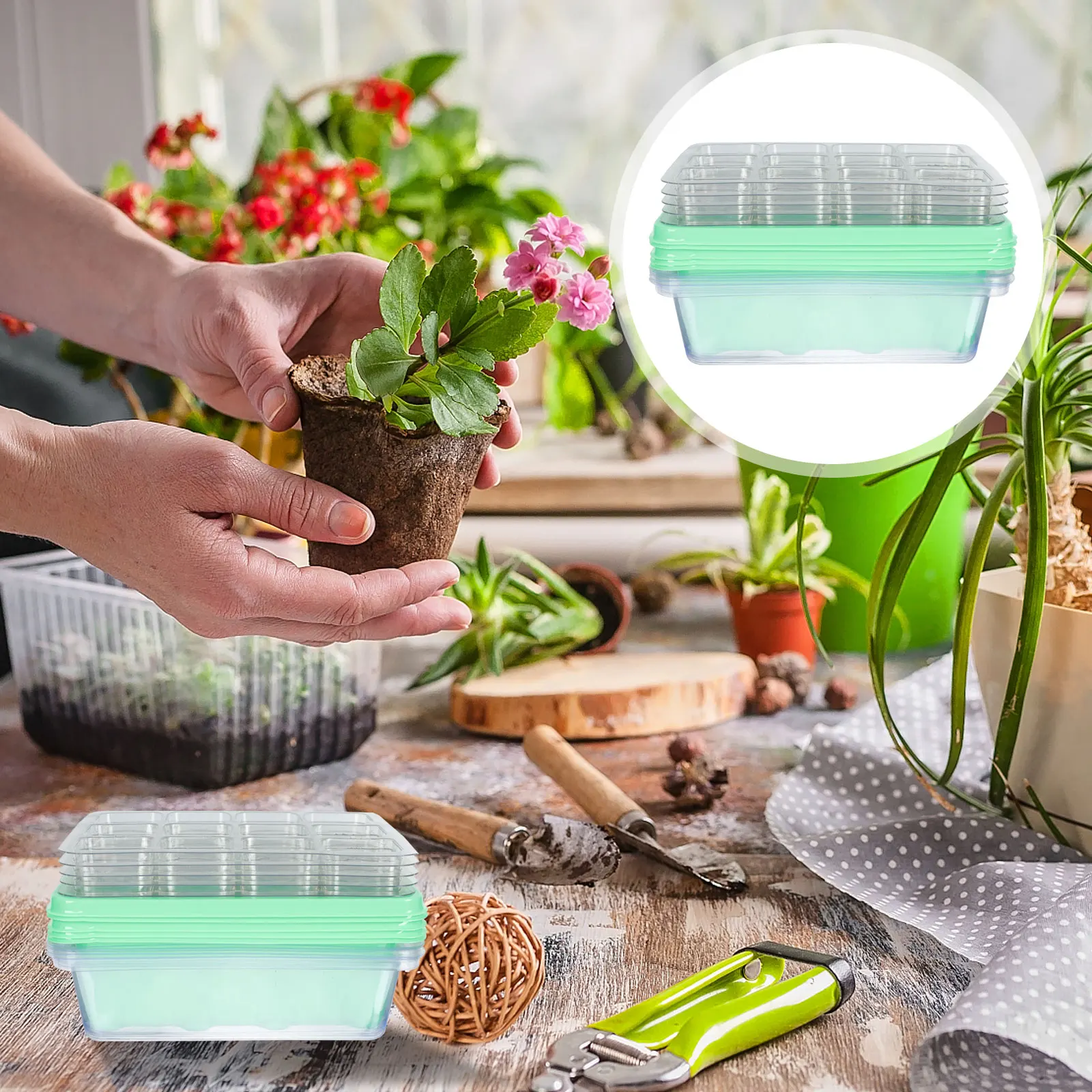 

12 Hole Seedling Box Plant Nursery Tray PP Material Durable Ferns Green 5 Sets Large Drainage Holes Sprouting Trays Planter Pot