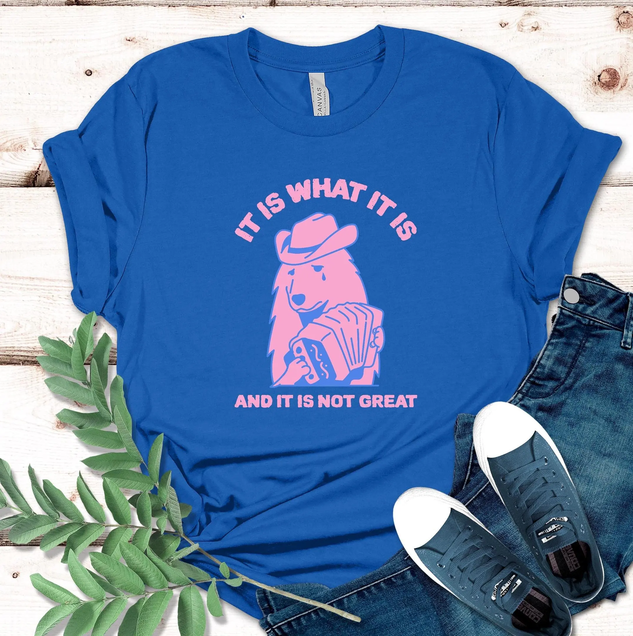 It Is What And Not Great T Shirt Sad Dog Meme Mexican Accordion Gag Funny