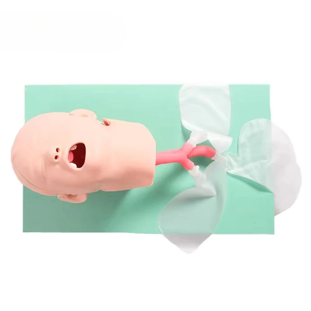 Children Endotracheal Intubation Training Model Learning Teaching Model Endotracheal Intubation Emulator