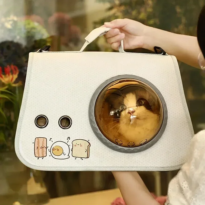 Portable Foldable Shoulder Bag Pet Space Capsule Suitcase for Cats Petkit Backpack Transport Transparent Supplies Conveyor Cat