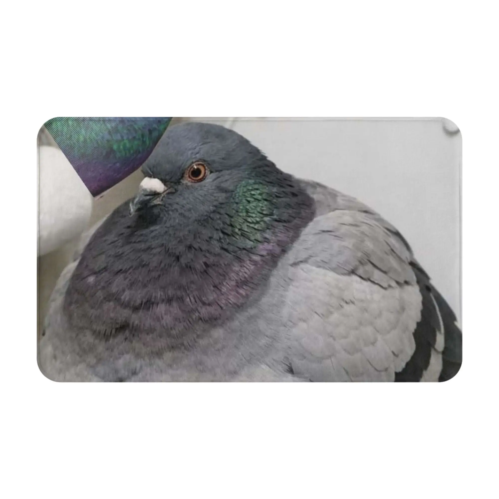 Pigeon On Toilet Funny Meme Image Anti-Slip Doormat Kitchen Mat  Indoor PatternHomeDecor