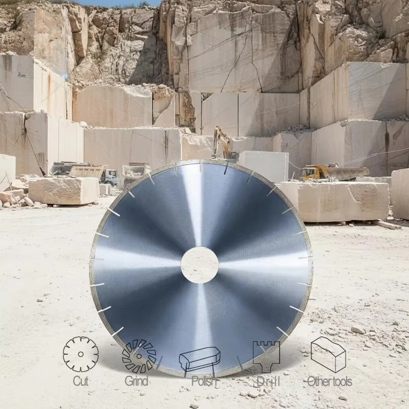 Germany Hot Sell 800mm Steel Diamond Segment Reinforced Concrete Wall Saw Blade for Construction OEM