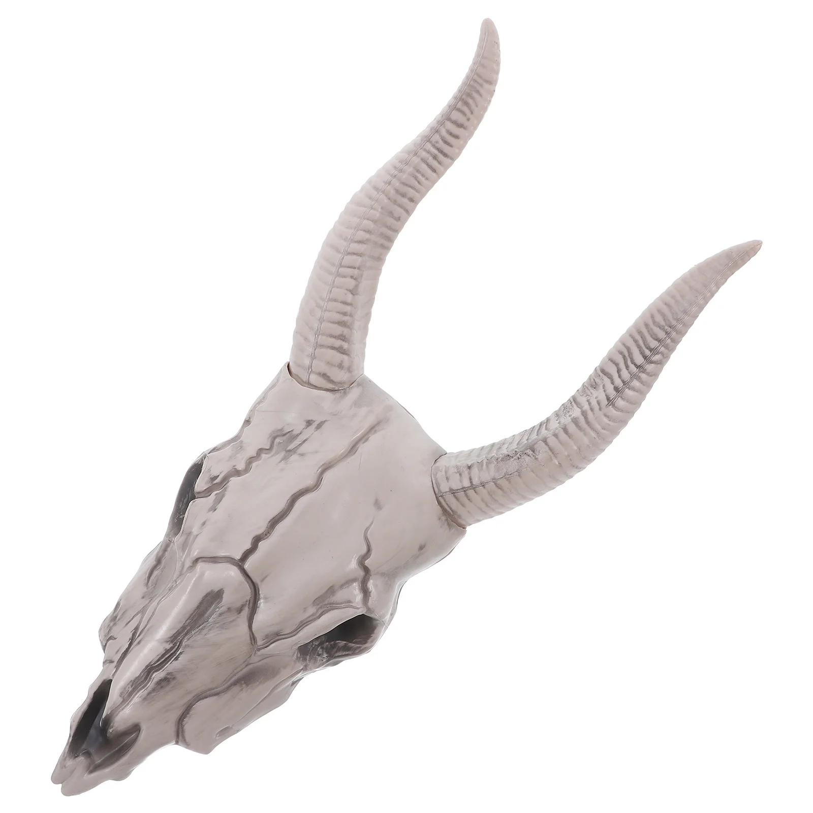 

Skull Plastic Animal Wall Hanging Art For Decor Halloween Indoor Spooky Decoration Horror Party Room Design