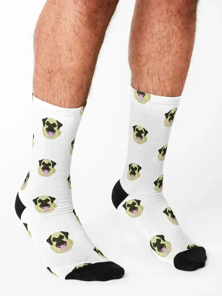 Anatolian Shepherd Dog Socks christmas gifts men cotton high quality snow anime Socks For Girls Men's