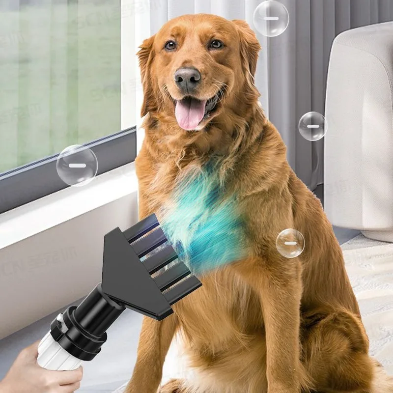 Dog Hair Drying Cat Blower Grooming High Power Quick Dryers Large Dogs Bath Blowing Pet Products Supplies Accessories