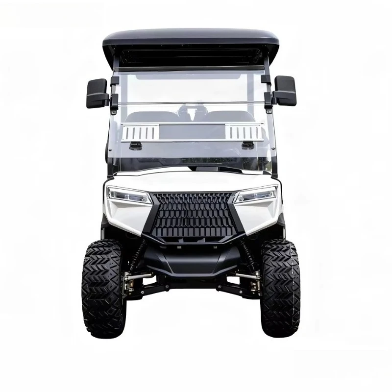 Upgraded Golf Course, 4 Seater Electric Golf Cart with Custom Ball Bag Storage