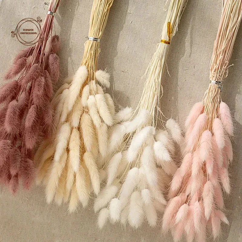 

Dried Flowers Bunny Tails Lagurus Ovatus Tail Dried Flowers Pampas Home Wedding Farmhouse Table Christmas Rabbit Boho Decor